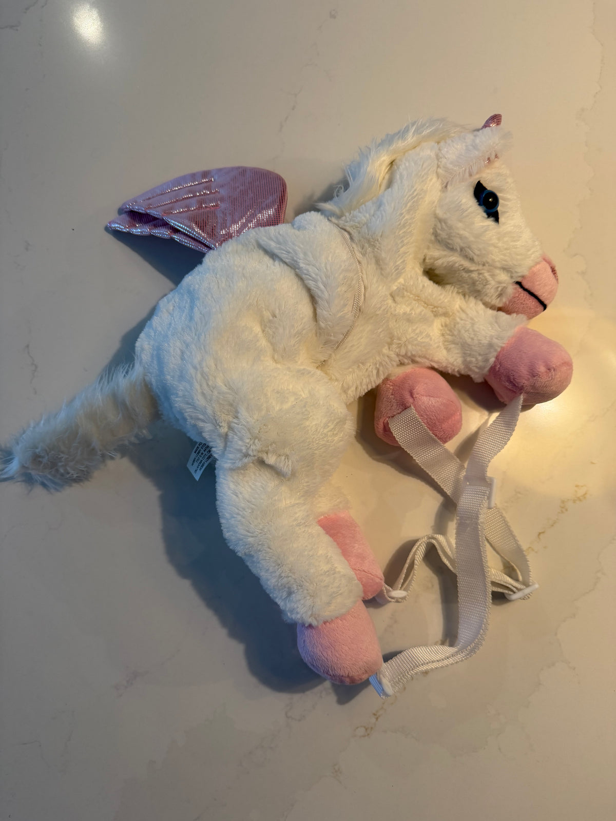 #133 pegasus backpack