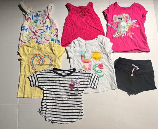 #100 Girls 2T Shirt Bundle