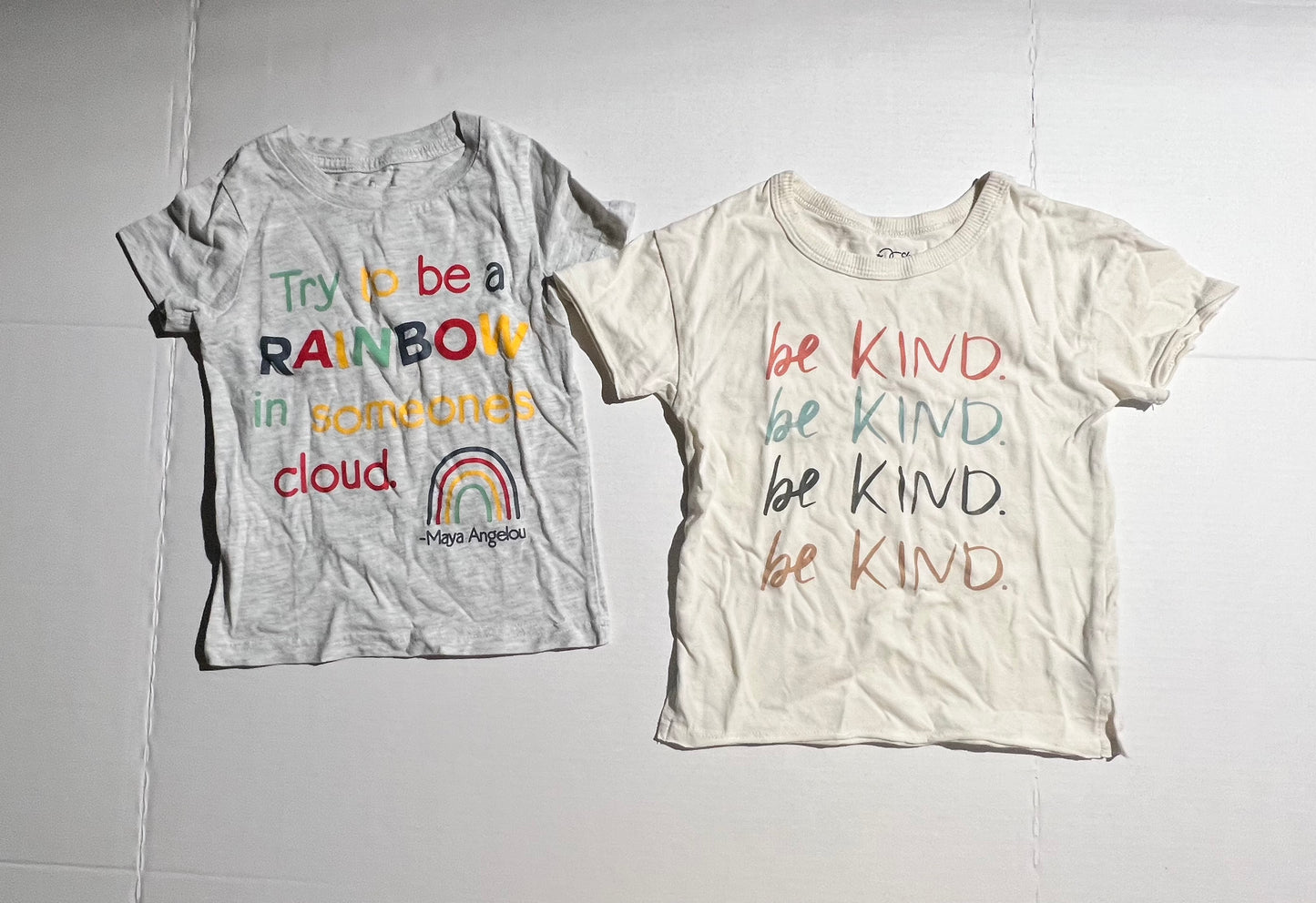 #100 Gender Neutral 24mo Tees