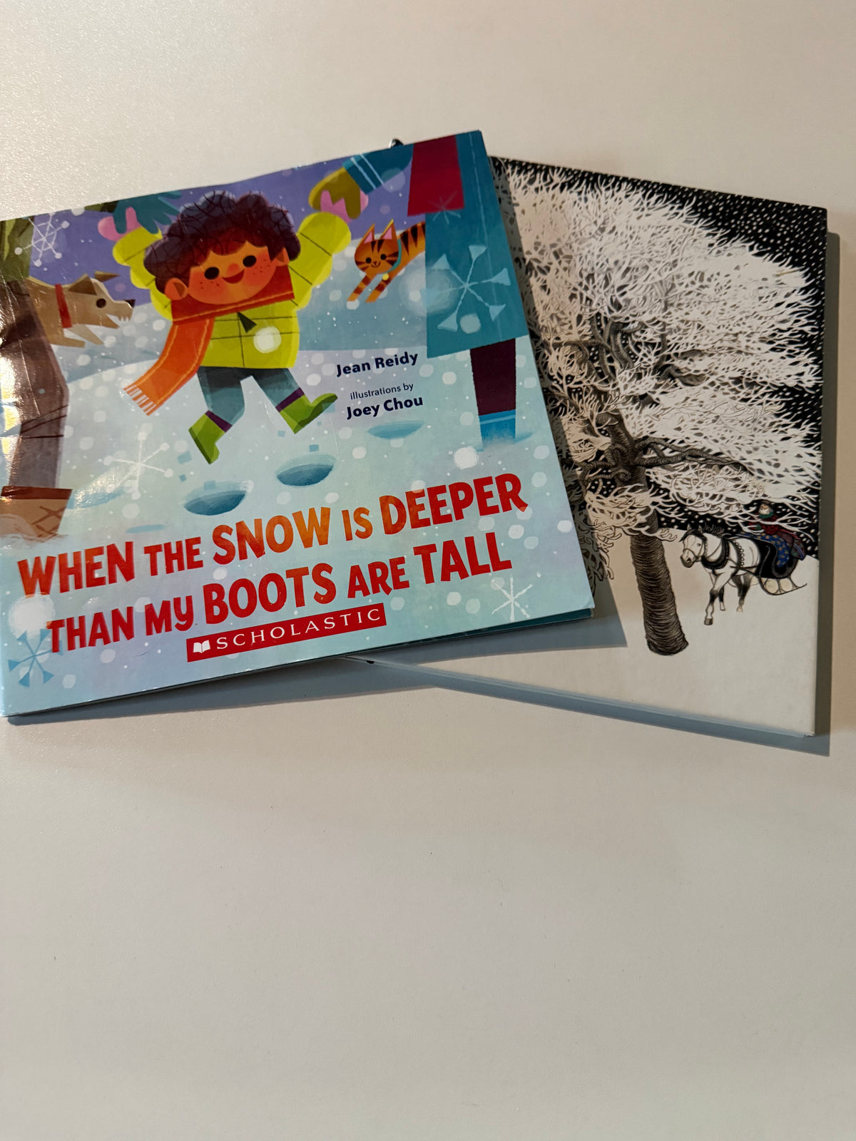 #20 Winter Books GUC