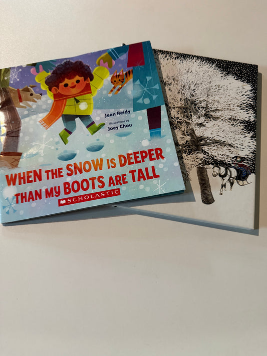 #20 Winter Books GUC