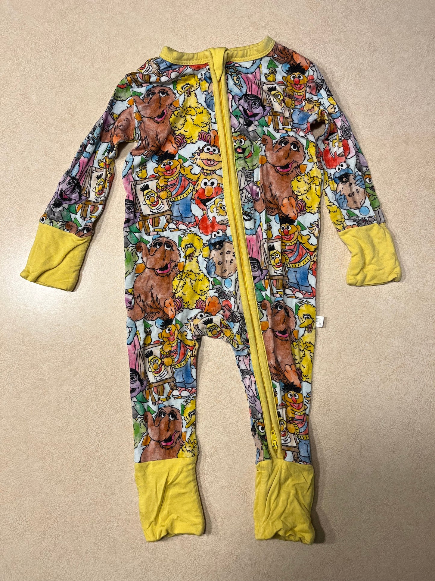 #31 Little Snuggles Sesame Street Pajamas 3-6 months