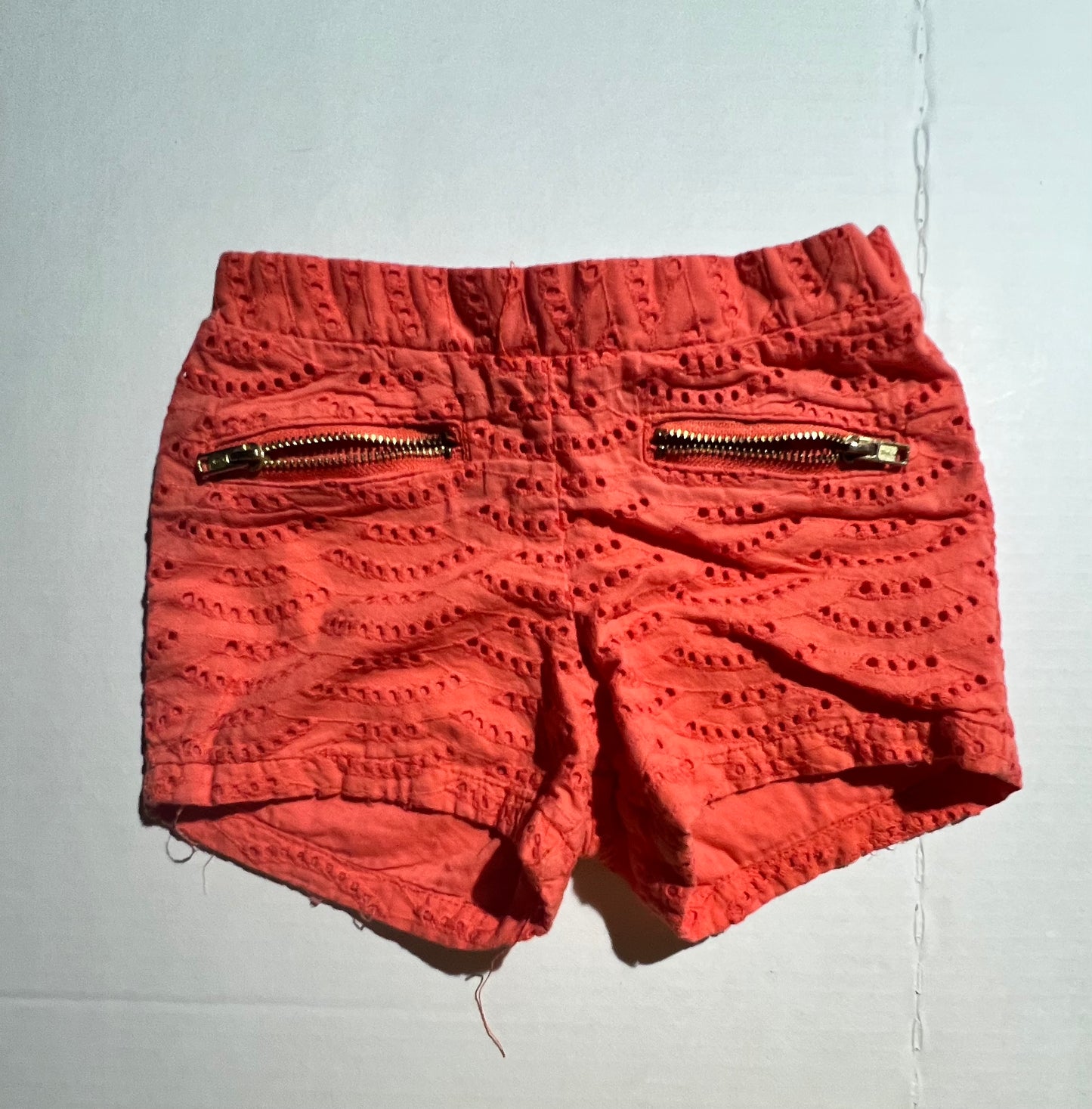 #100 Girls 2T Oshkosh Shorts