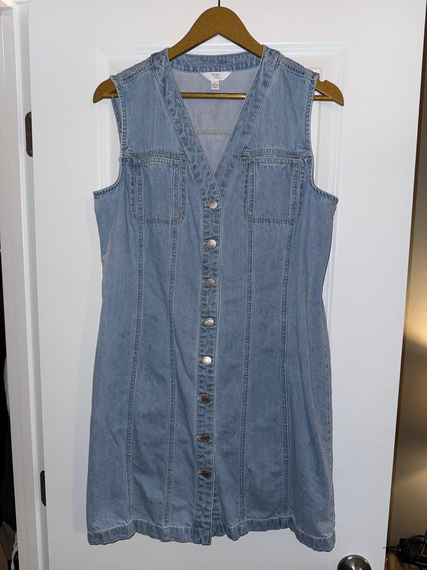 #106: Womens L Time & Tru Denim Dress