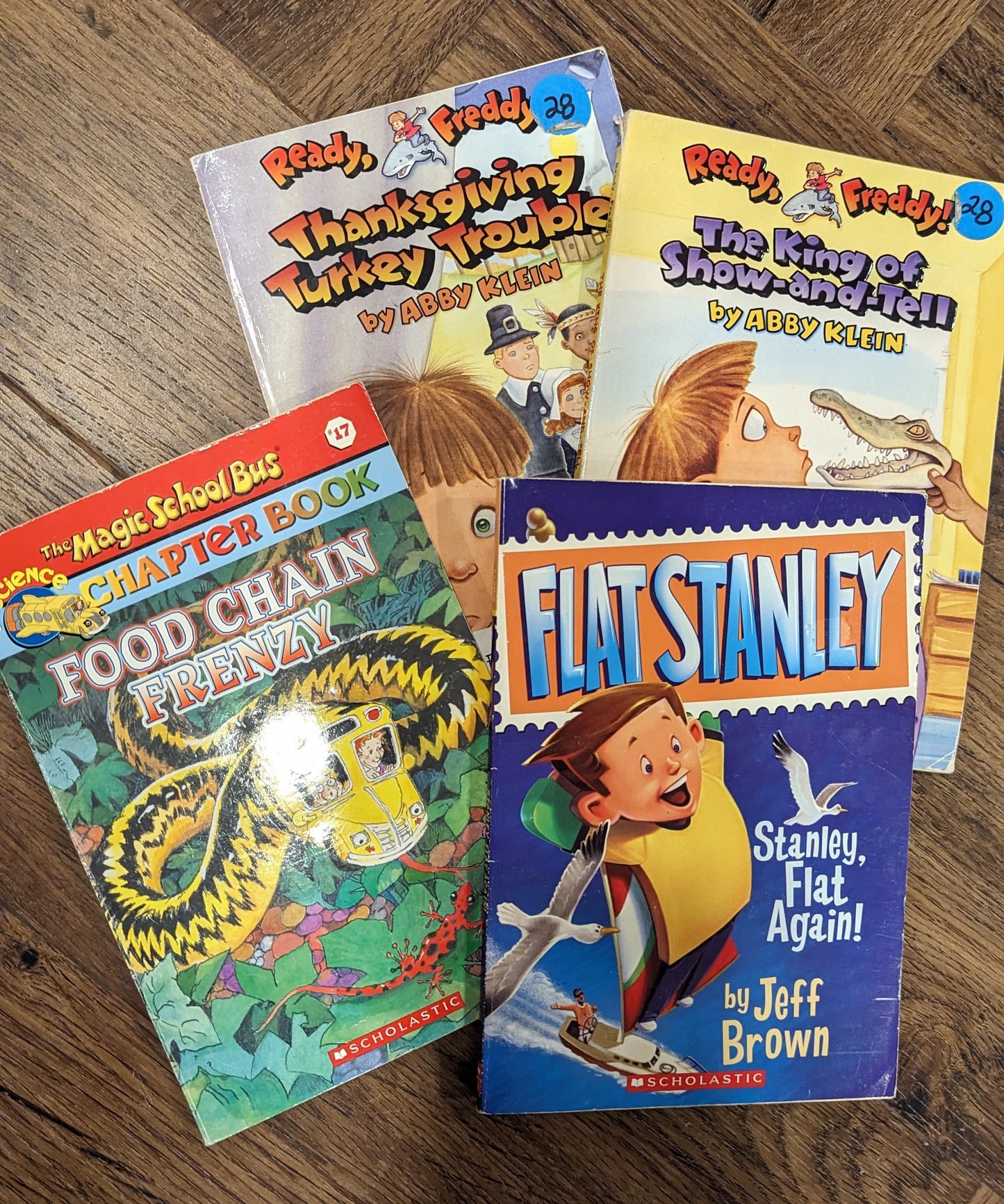 Early chapter books - Ready Freddy, Flat Stanley, Magic Schoolbus