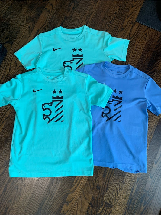 #151 - Nike Kings Hammer Soccer Club Dri-Fit Practice Tee Set - Youth Large