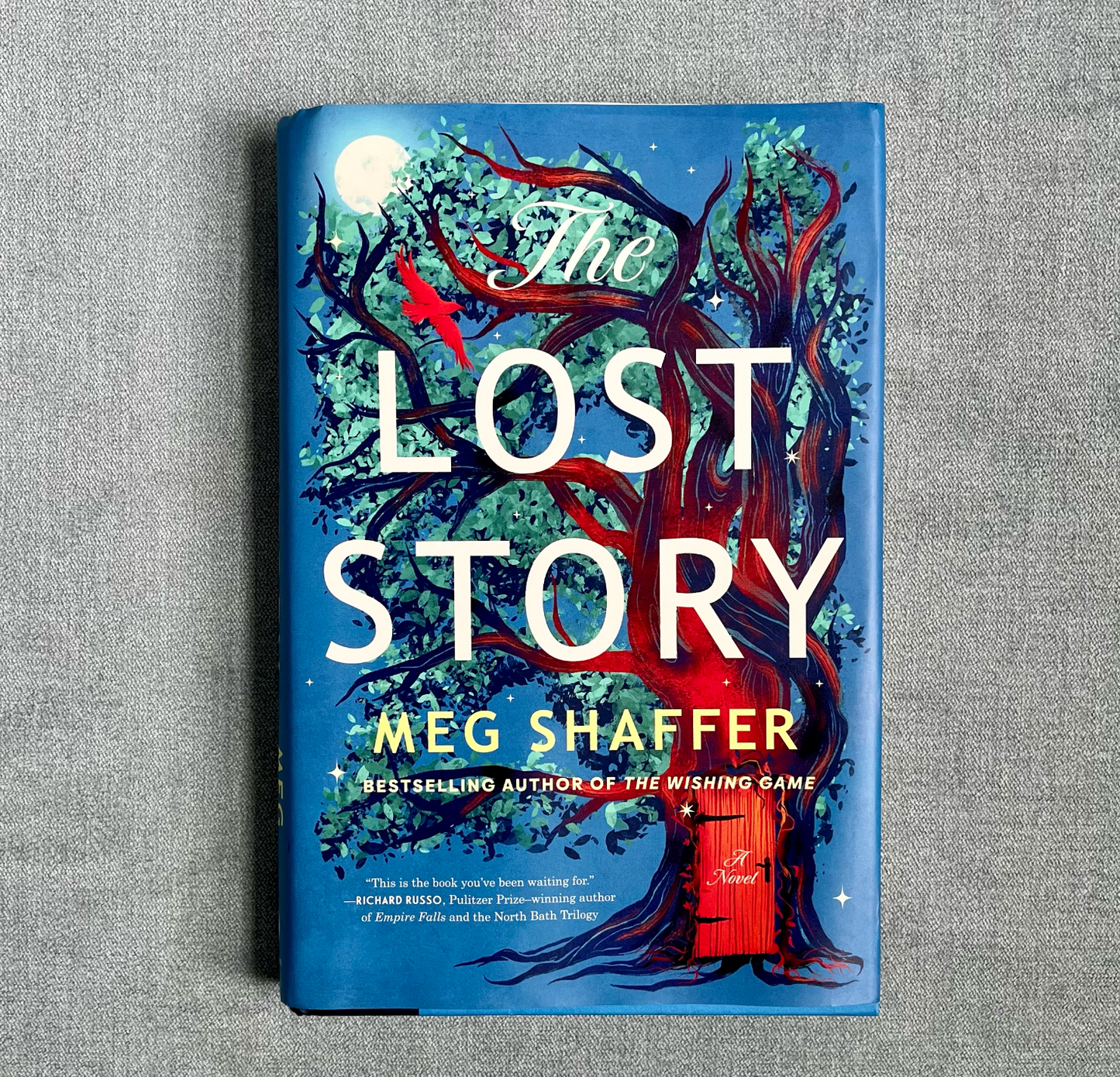 #22A "The Lost Story" by Meg Shaffer hard cover book