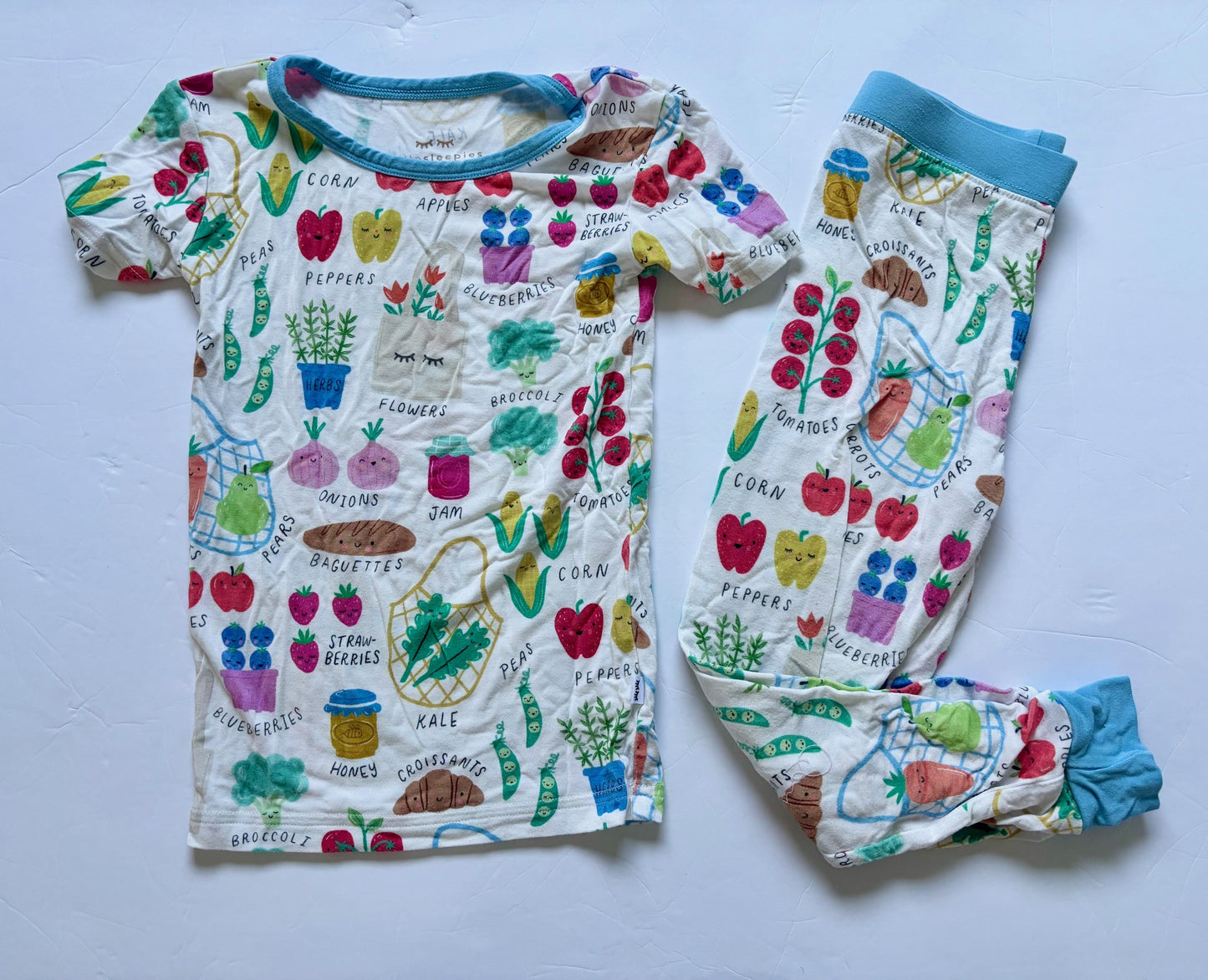 #43 Little Sleepies Farmer's Market Pajamas Boys or Girls 3T VGUC