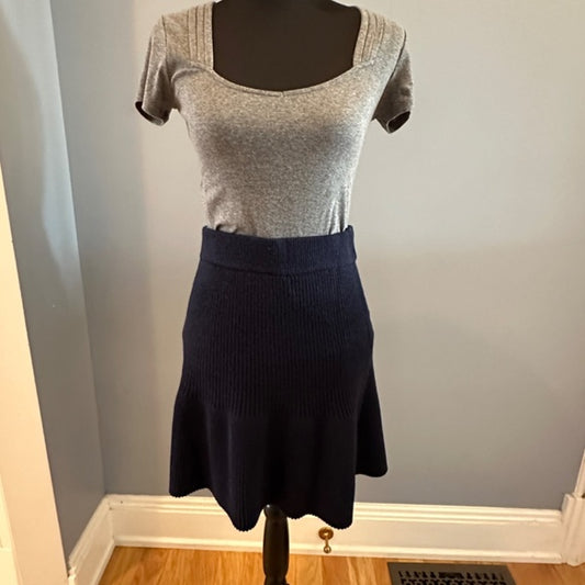 Zara Wool Blue Pleat Skirt size M