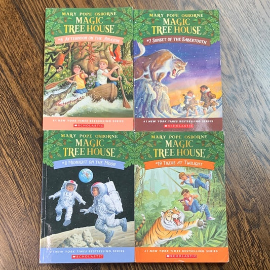 #181 - Magic Tree House Books 6, 7, 8, 19 Set