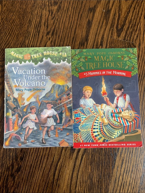 #151 - Magic Tree House Book Set