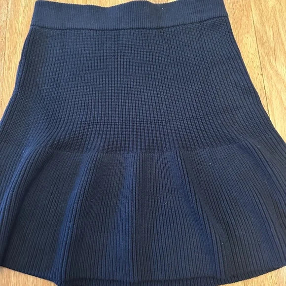 Zara Wool Blue Pleat Skirt size M