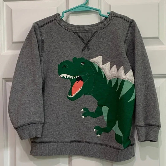 #181 - Gray Dinosaur Kids Sweatshirt - Boys 7