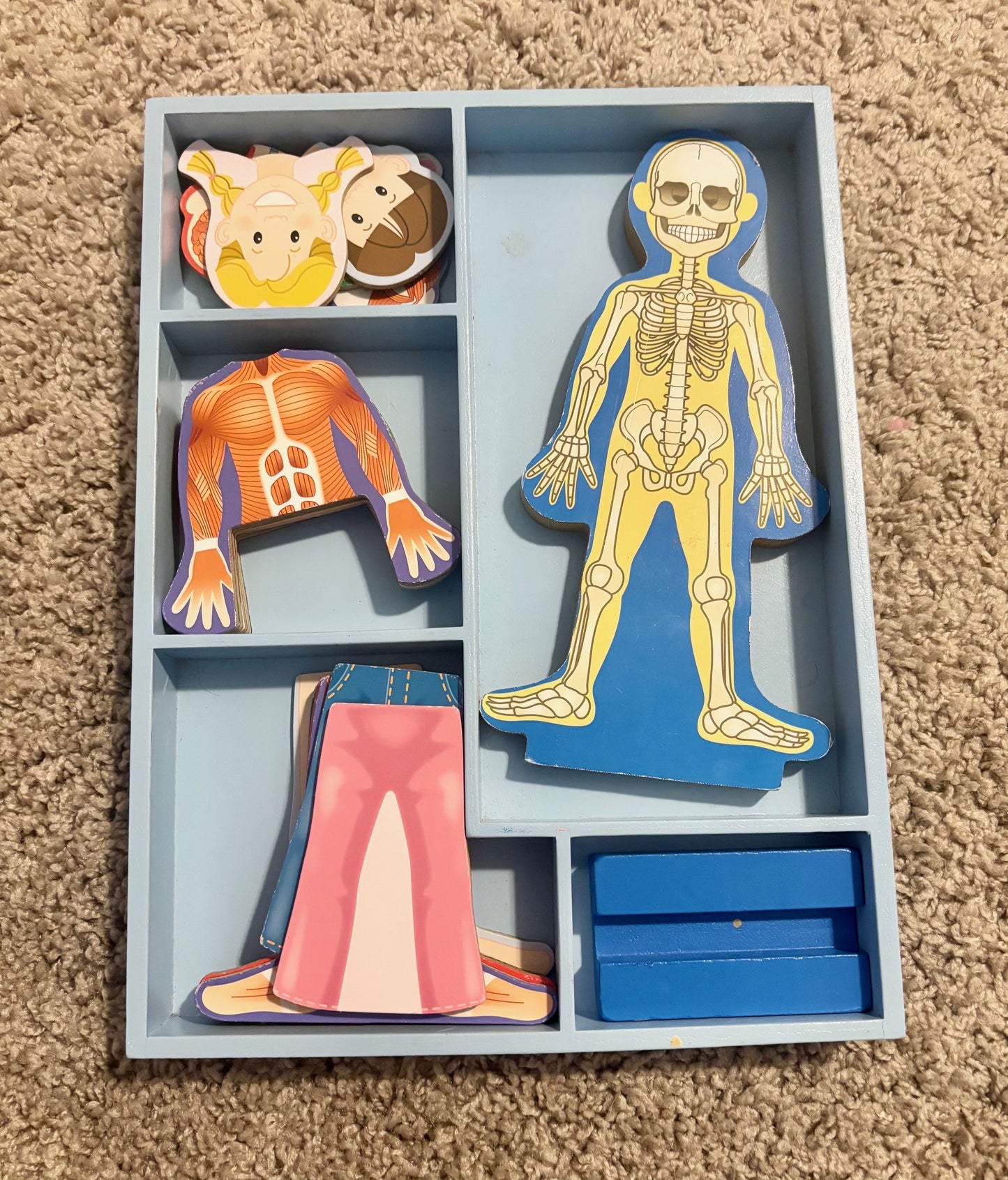 #43 Melissa and Doug Magnetic Wooden Anatomy Play Set