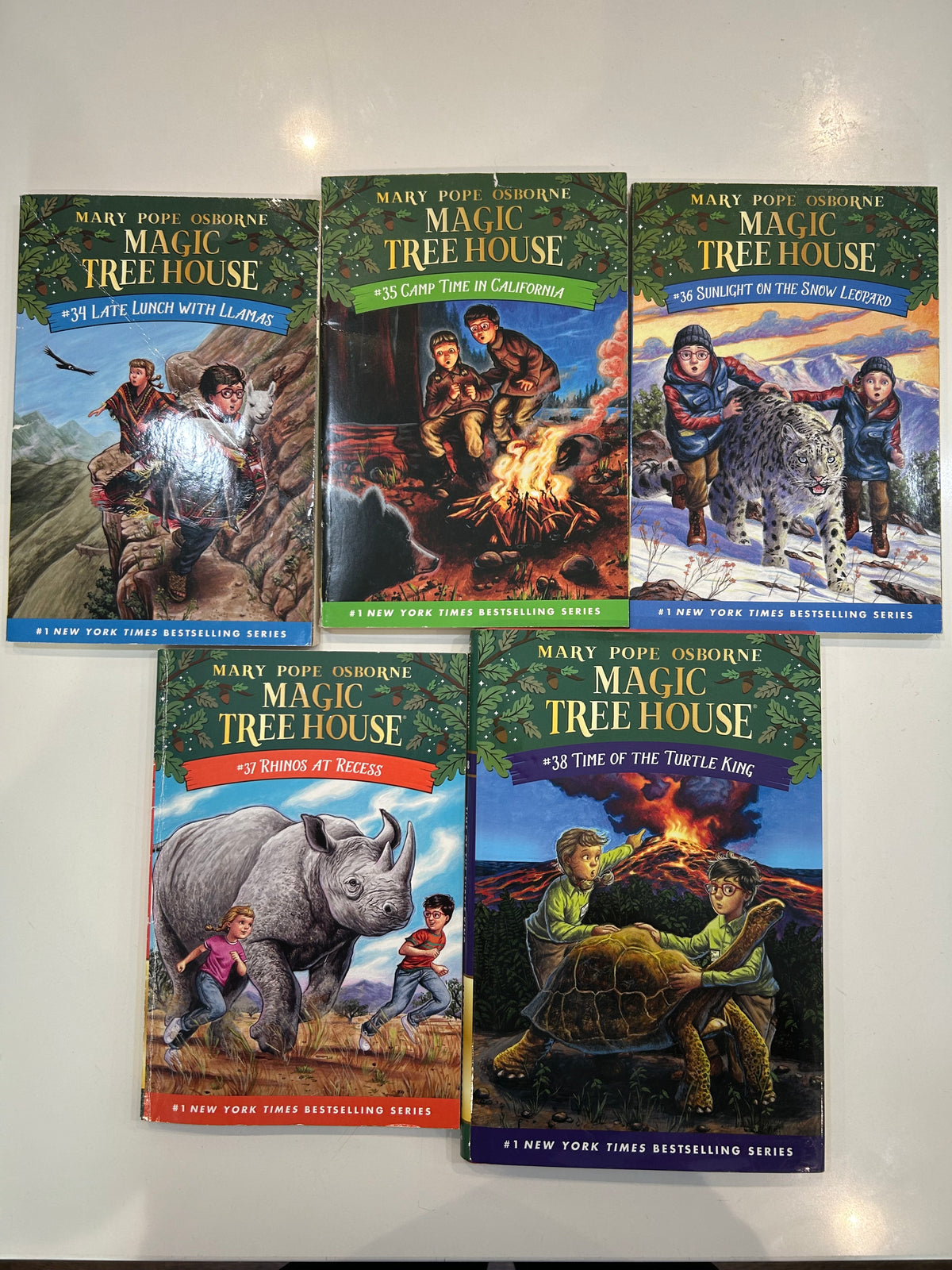 #32 Magic Tree House Books