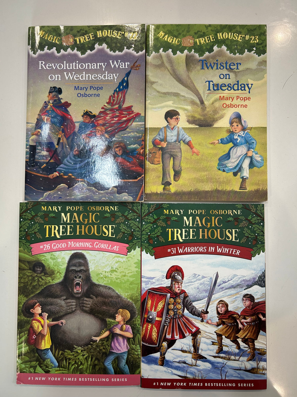 #32 Magic Tree House Books