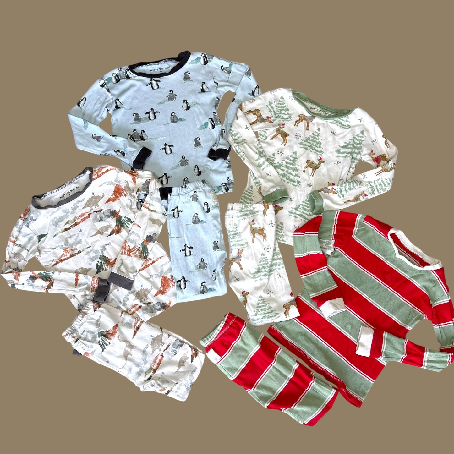 #1 Burt's Bees Organic PJ Bundle 5T