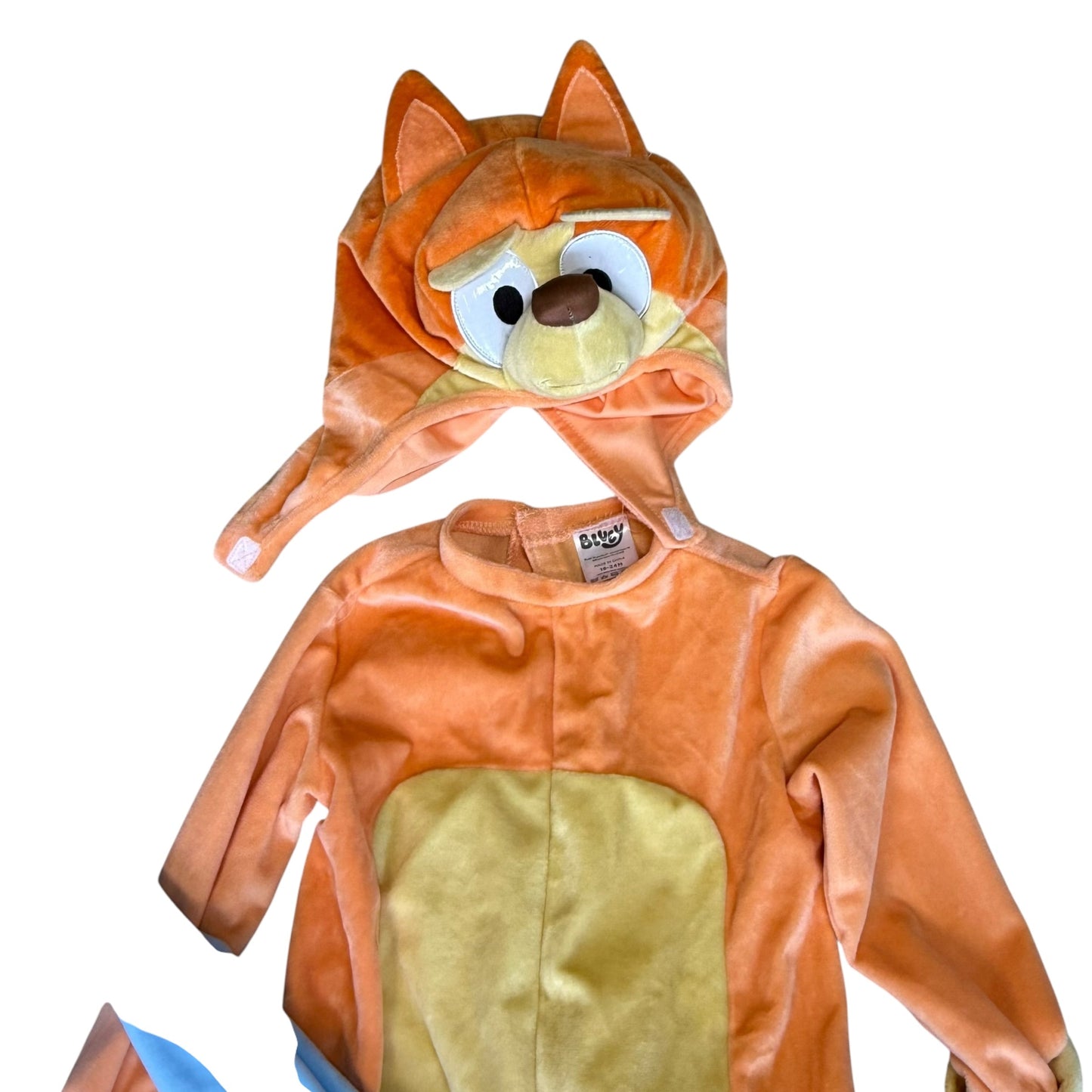 #1 Bluey family costume