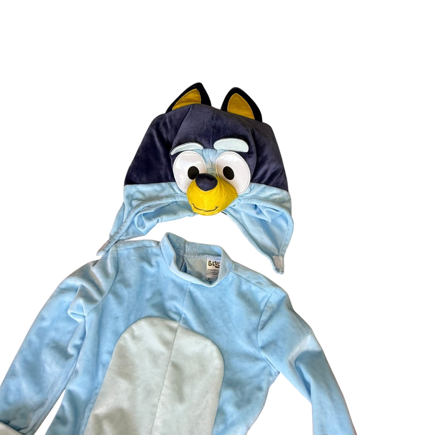 #1 Bluey family costume