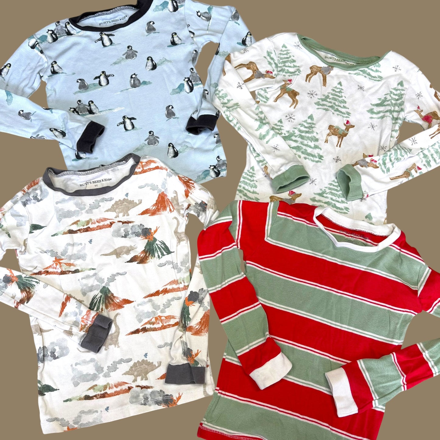 #1 Burt's Bees Organic PJ Bundle 5T