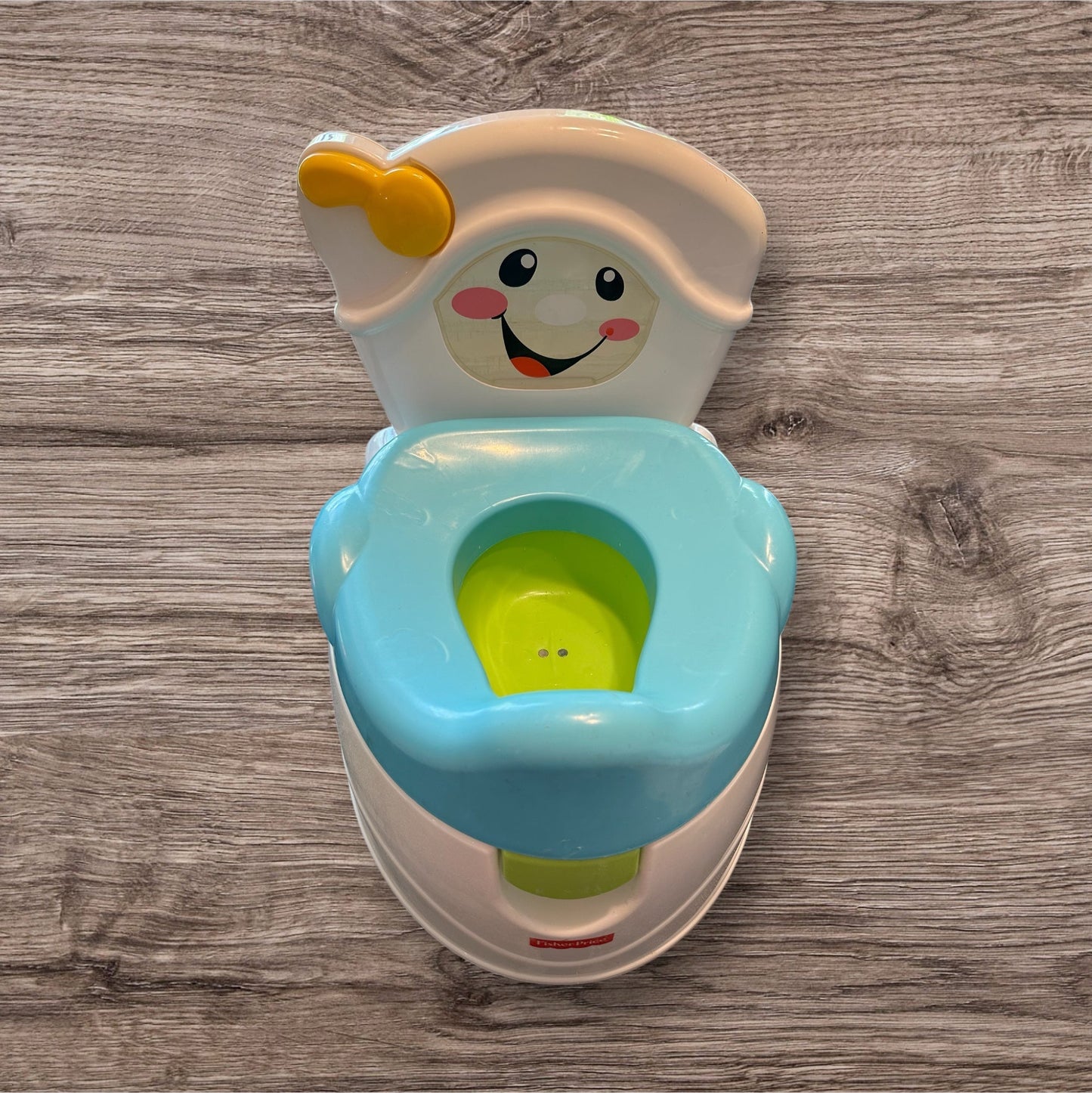 #169 Potty Training Toilet