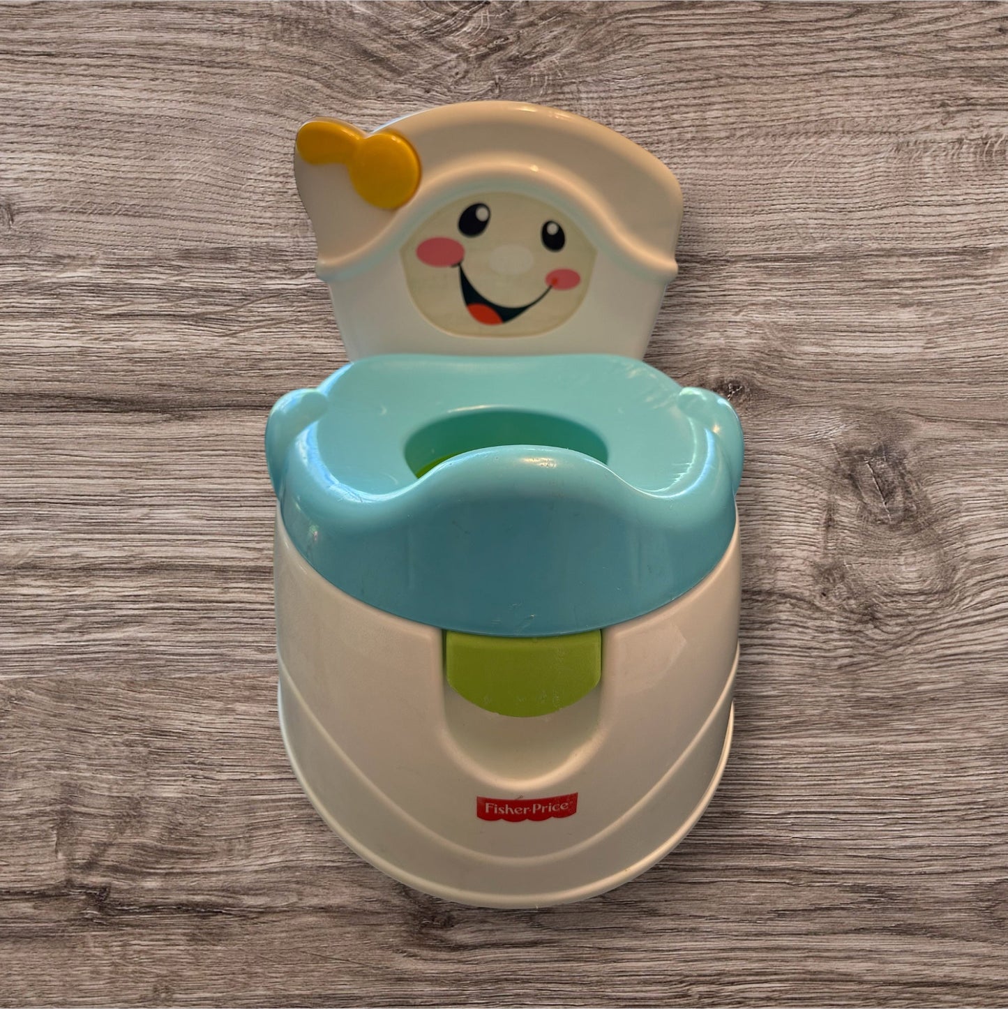 #169 Potty Training Toilet