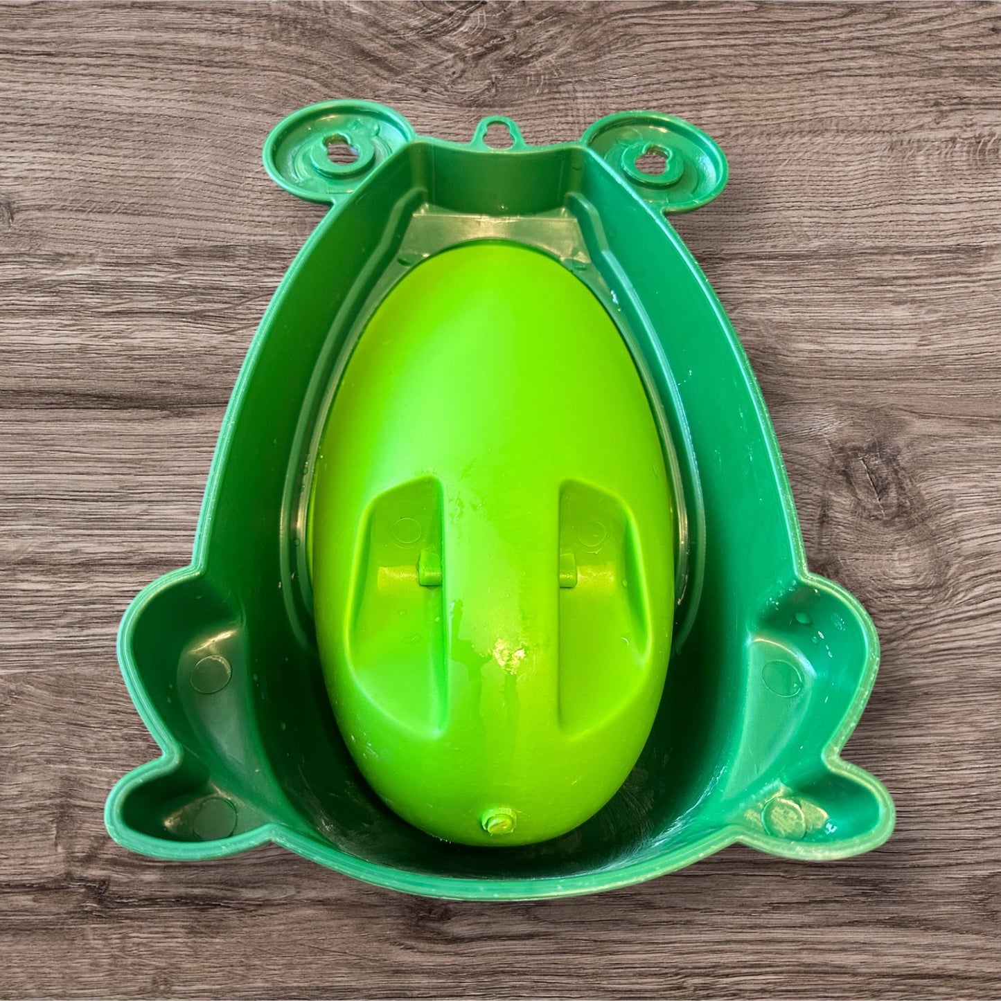 #169 Potty Training Frog