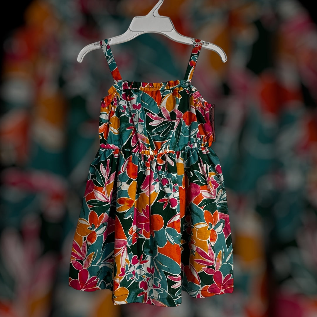 #169 Girl’s Carter’s Size 4 Dress- NWT