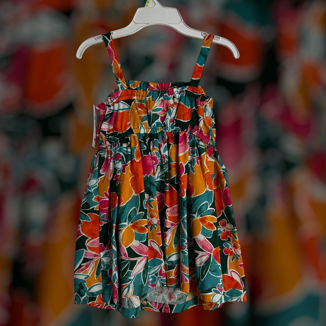 #169 Girl’s Carter’s Size 4 Dress- NWT