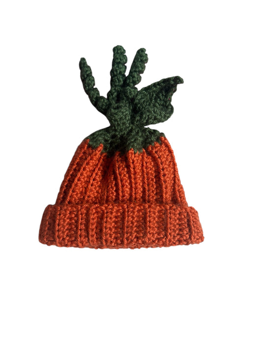 104 - Newborn Pumpkin Hat