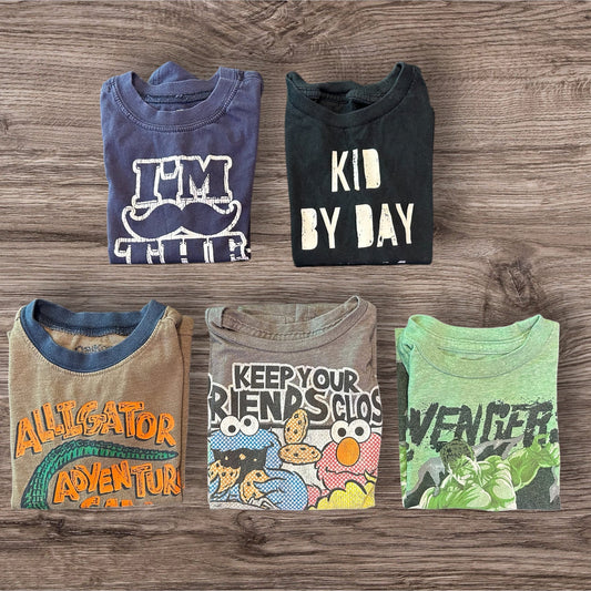 #169 Boy's 2T Shirt Bundle (5 Shirts)