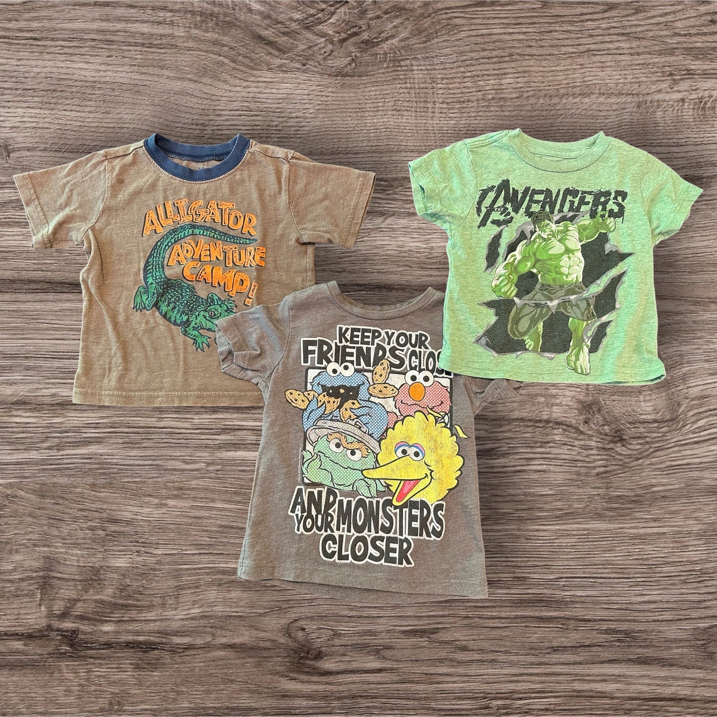 #169 Boy's 2T Shirt Bundle (5 Shirts)