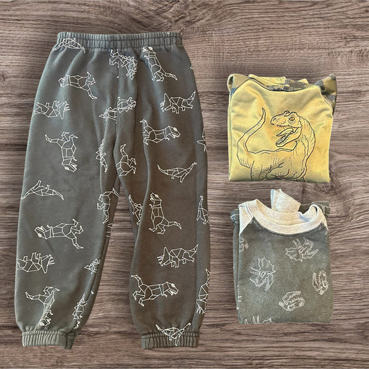 #169 Boy's 5T Dinosaur Theme Bundle (3 Items)