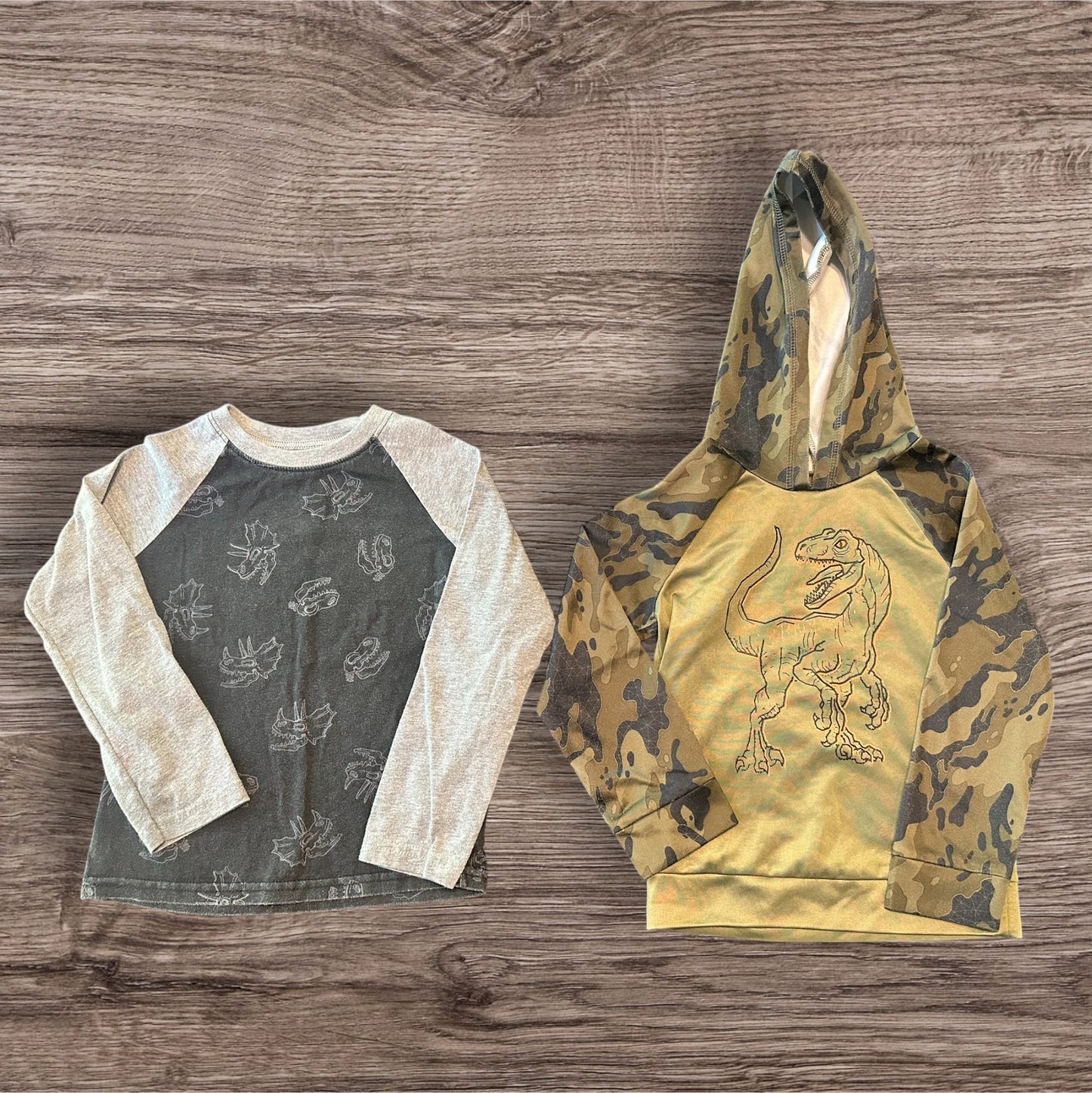 #169 Boy's 5T Dinosaur Theme Bundle (3 Items)