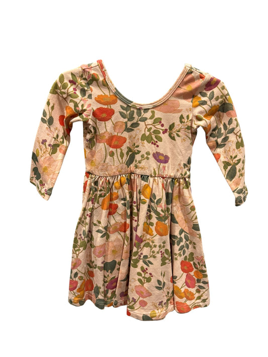 Seller #105 - 3T Girls Alice & Ames Light Botanical Floral Dress EUC