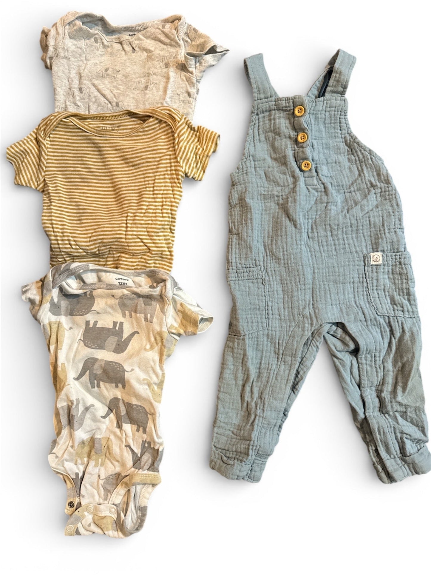 #190 REDUCED Carters/Little Planet Onesie and Overalls Bundle Size 12M