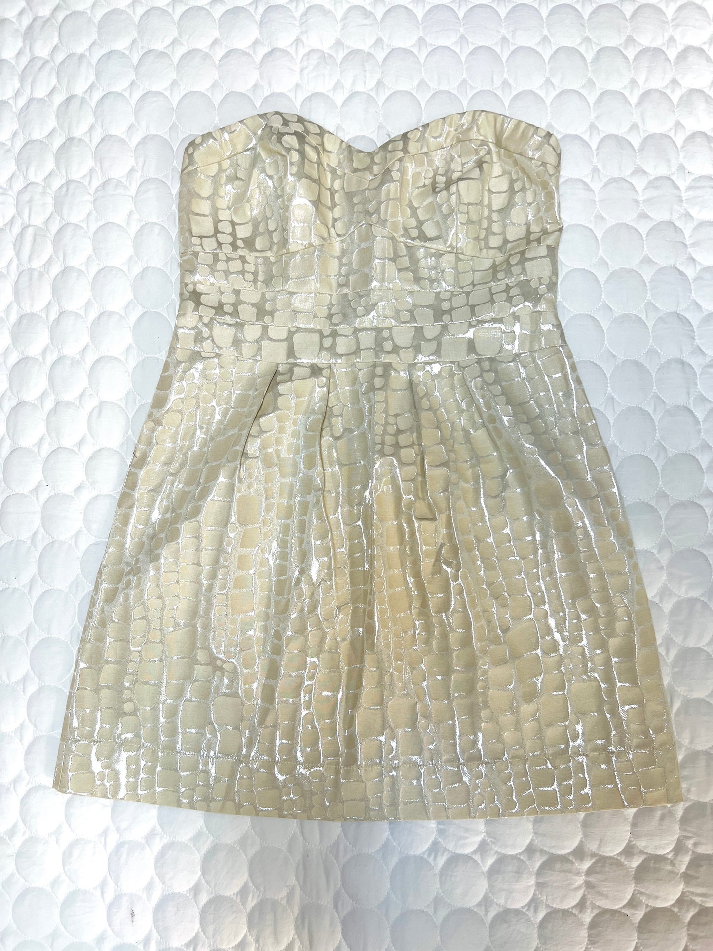 Size 12 American Eagle strapless dress, cream with silver shimmer. New without tags. Exposed zipper on back. $10