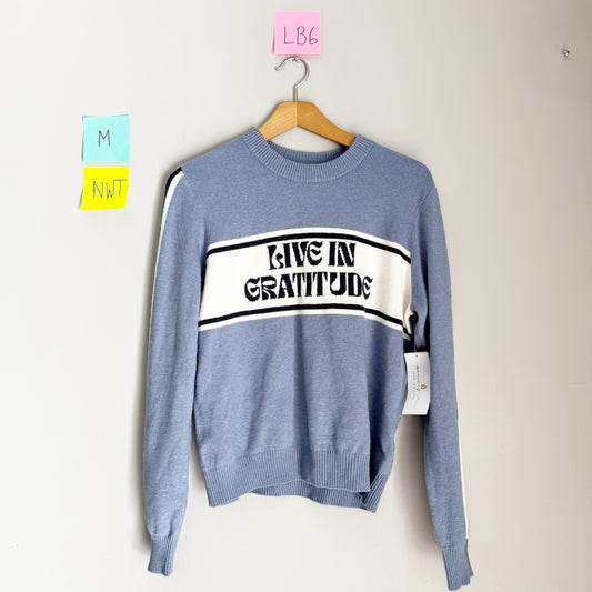 Seller 196 NWT spiritual Gangster LS sweater M women’s