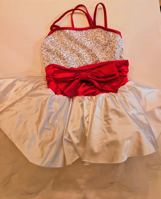 #125 Fancy Dance Dress Up Dress Size 6
