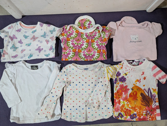 Seller 123 - Girls 12-18mo Shirt bundle - reduced