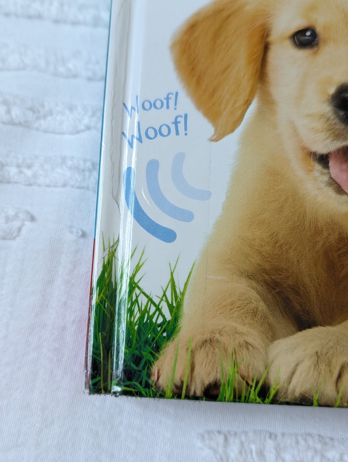 #164 - Noisy Baby Animals & Farm Books (GUC)