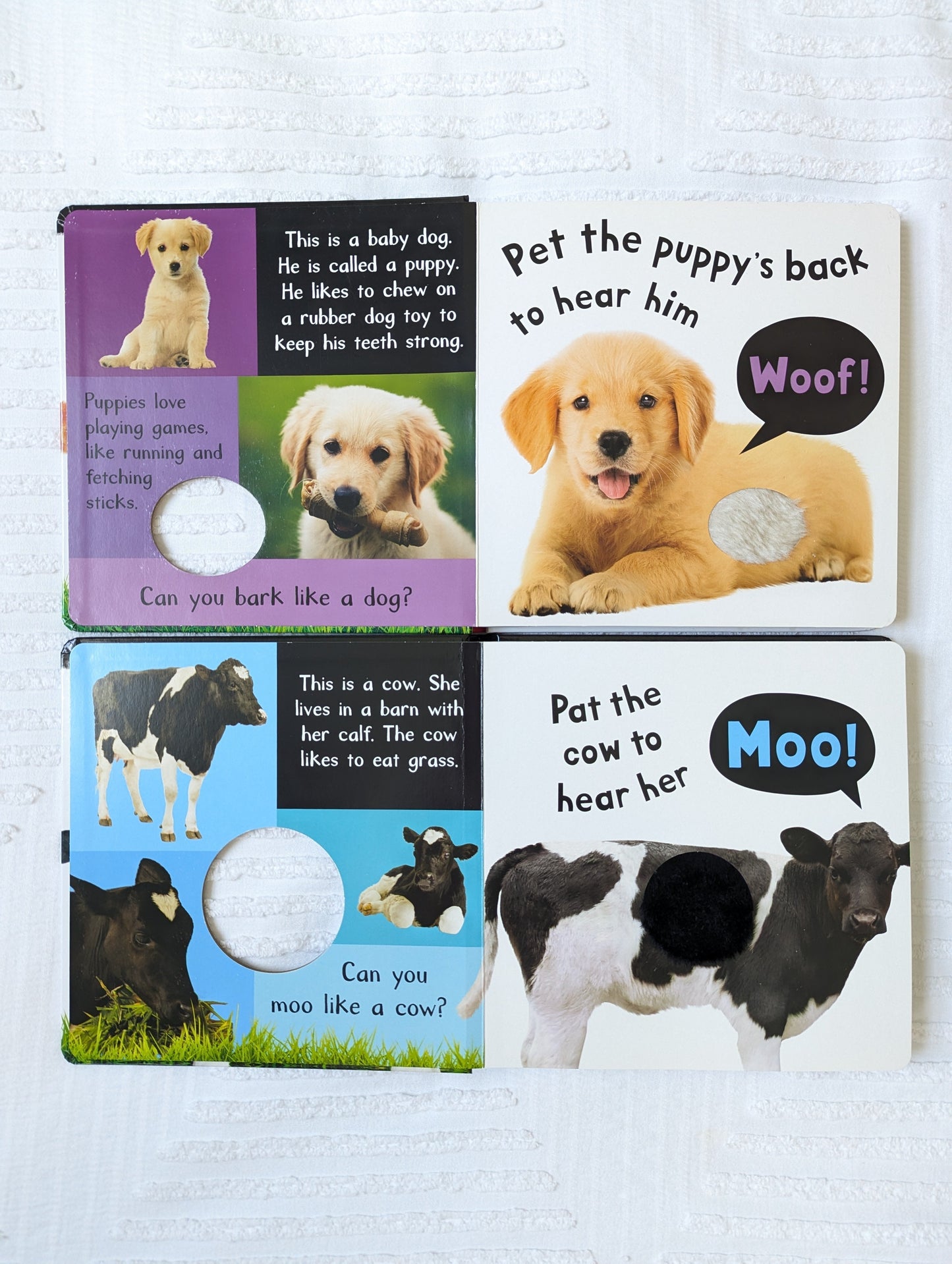 #164 - Noisy Baby Animals & Farm Books (GUC)