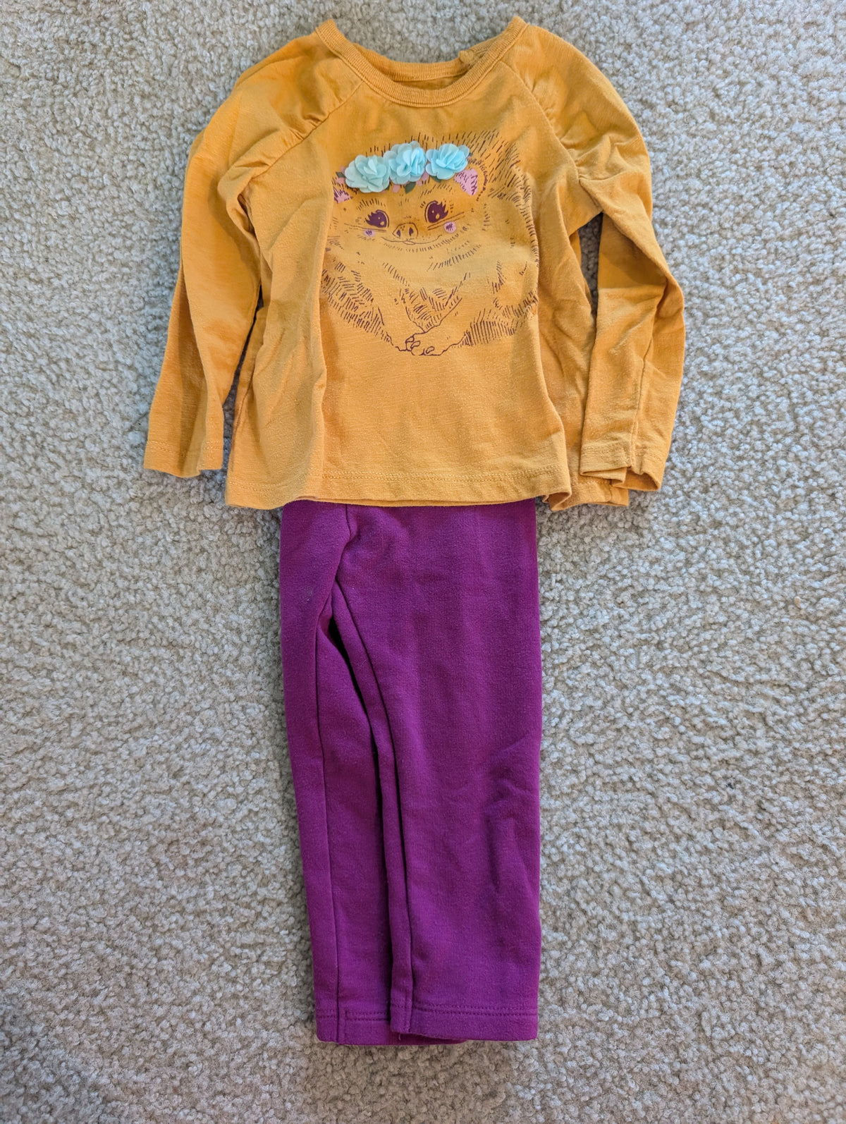 Seller 123 - Girl 18mo outfit