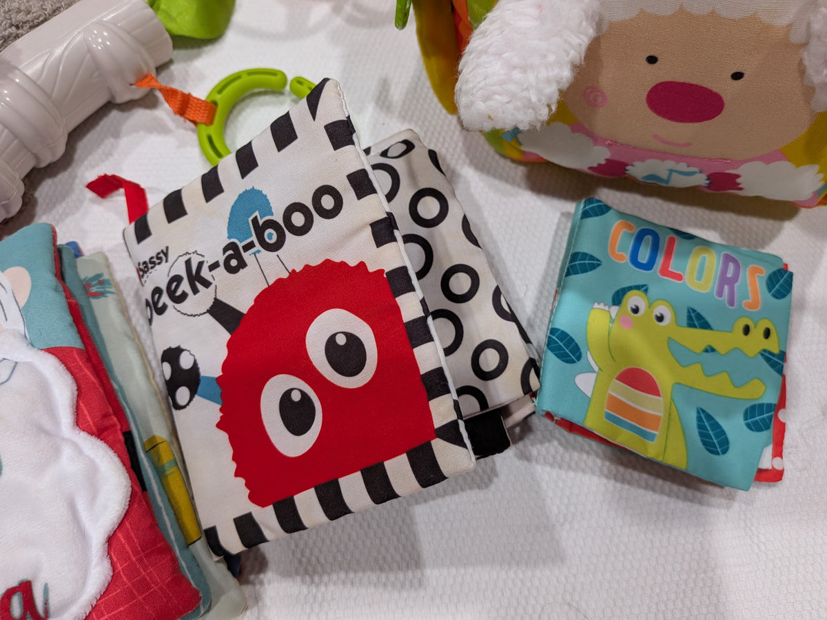 Seller 2. Bundle of baby toys and baby cloth books