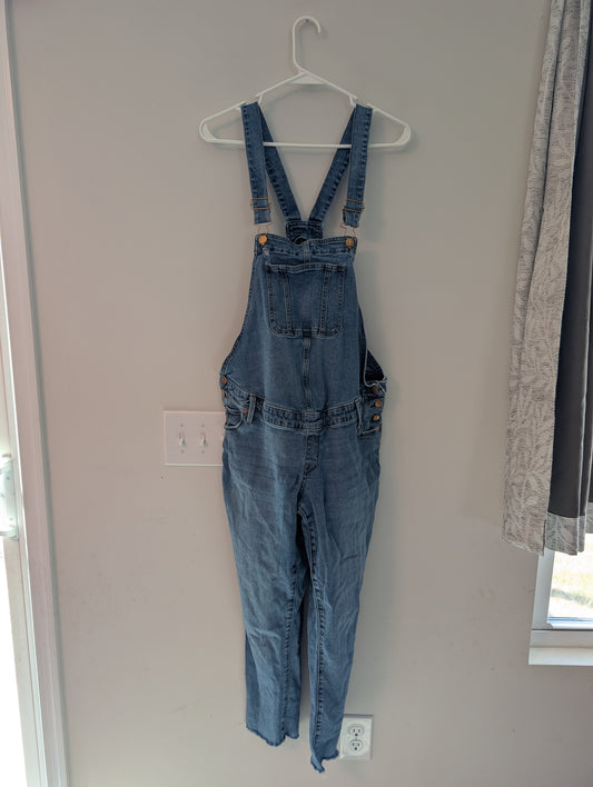 Seller 123 - Maternity Overalls Size 8