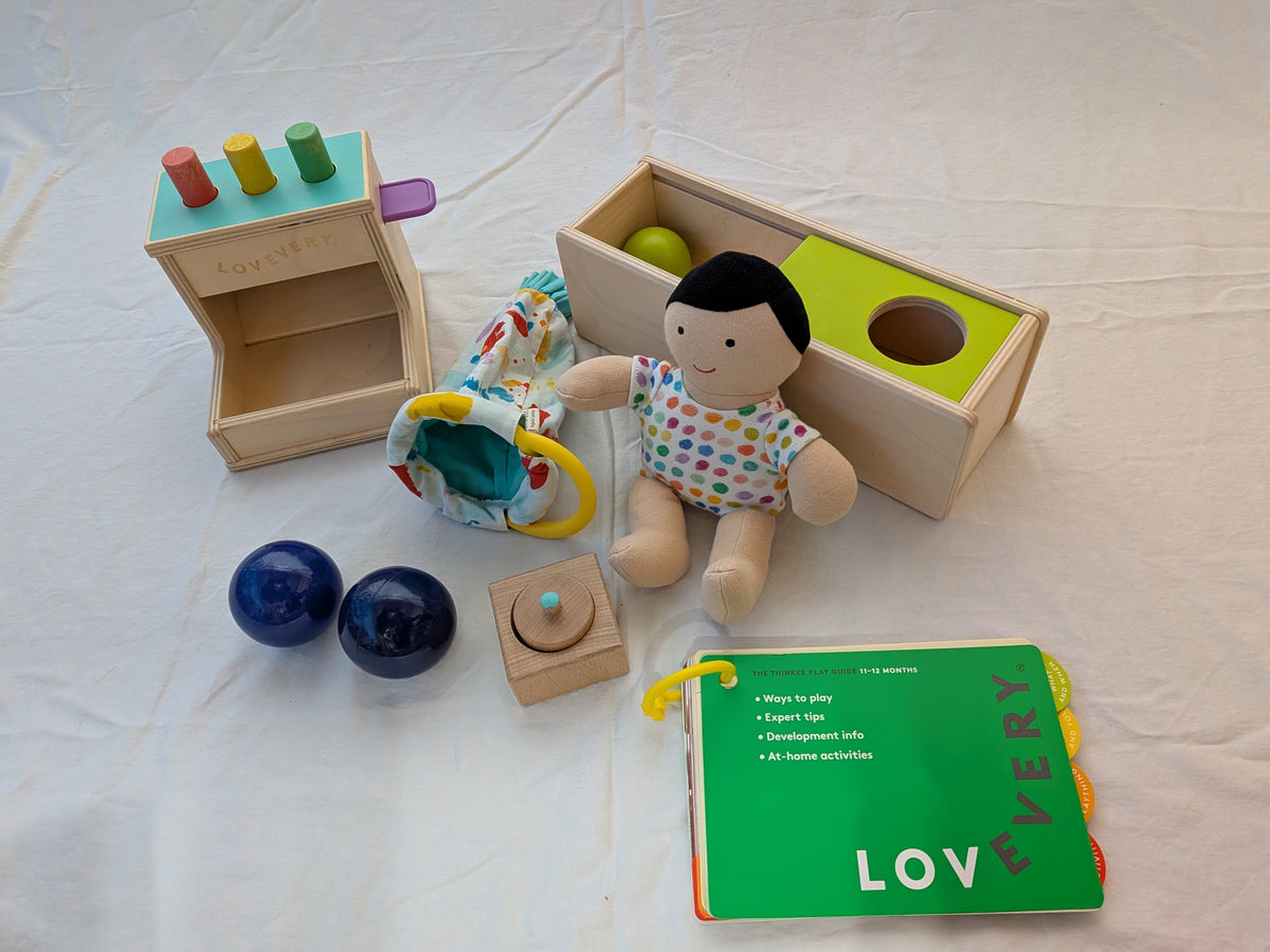 199 Lovevery *Partial* 11-12 mos Thinker kit
