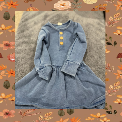 #69  REDUCED 2T Denim Long Sleeve Dress