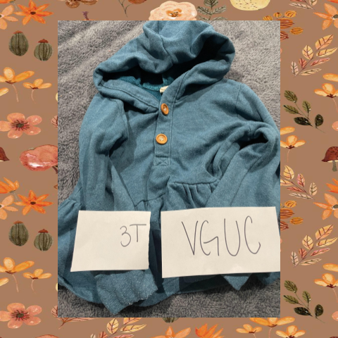 #69 REDUCED 3T Teal/Blue Peplum Hoodie