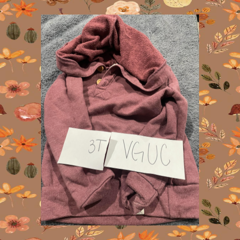 #69 REDUCED 3T Red Hoodie