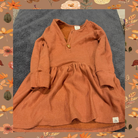 #69 REDUCED 18-24 Month Orange Long Sleeve Dress